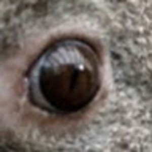 Meet your Posher, Evan